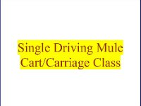Single Driving Mule Class